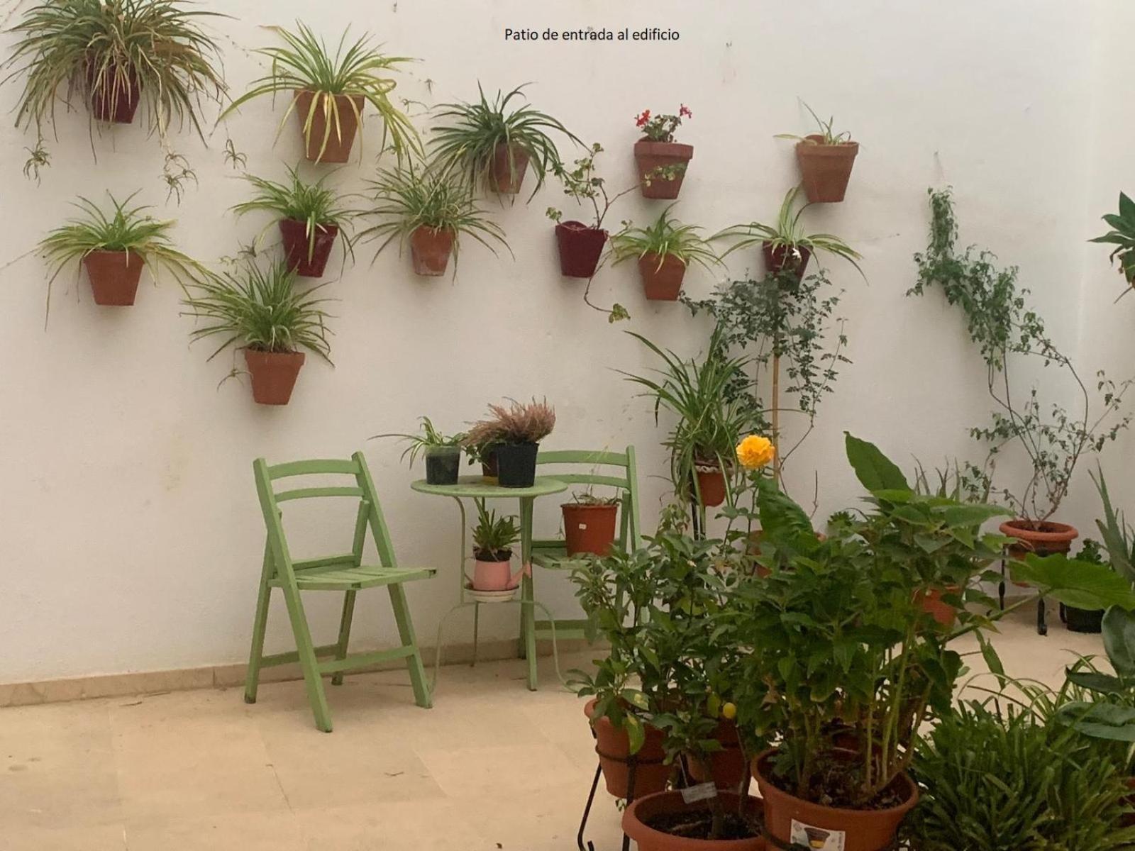 エシハCasa Yaye Puerta Palmaアパートメント エクステリア 写真